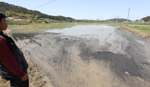 서산 대산공단 LG화학 공장서 검댕 분출… 인근 농작물 피해