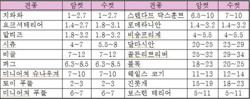 반려견 체중 평균 20% 넘으면 '비만'… "운동·식사 조절"