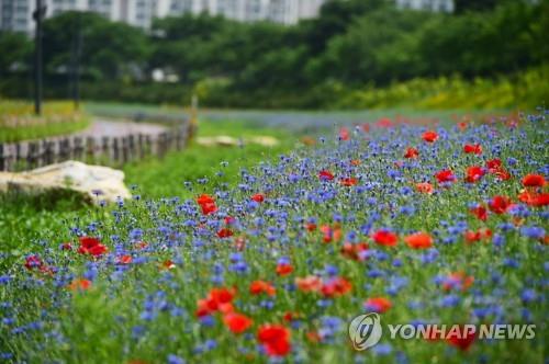 성큼 다가온 초여름 날씨… 개장 앞둔 해수욕장에 나들이객 몰려