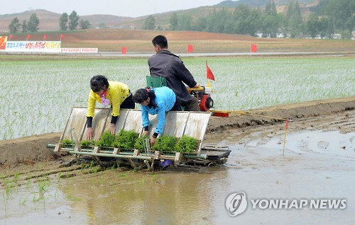 "모내기 일정도 자체 실정 맞게"… 北농업 자율성 확대