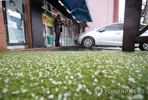 서울 곳곳 때아닌 우박에 차량도 '스톱'… 소나기에 천둥까지