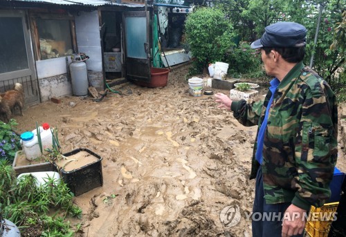 올림픽 뒤처리 늑장 부리다 물난리… 평창 침수·정선 토사 덮쳐