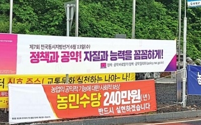 선거 때마다 '베끼기·판박이 공약' 난무… 멍드는 지자체 미래