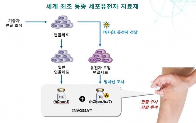 코오롱티슈진, 관절염 약 ‘인보사-K’ 특허기간 5년 연장