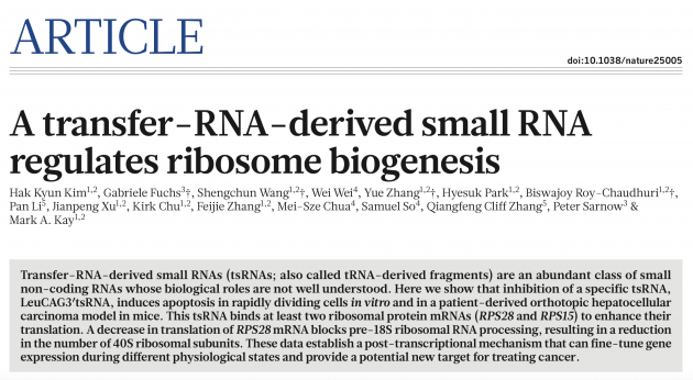 김학균 연구교수, ‘논코딩 RNA 이용한 간암 치료 가능성’ 제시