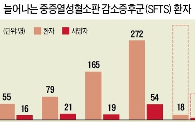 '사람 잡는' 진드기… 풀밭 다녀온 뒤 고열·구토 땐 즉시 병원 가야