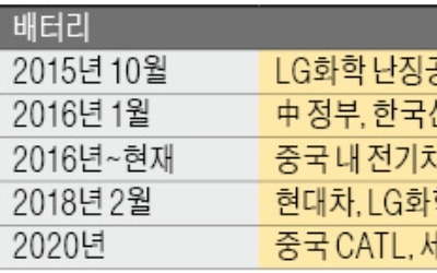 배터리·반도체·디스플레이… "韓기업 견제, 中기업 키워라"