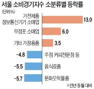 카드 매출로 서울지역 '소비경기' 조사해보니…