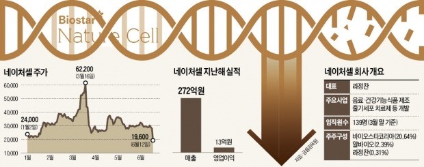 '바람 잘 날 없는' 바이오株… 이번엔 주가조작 혐의로 네이처셀 하한가