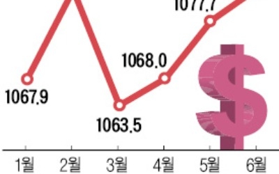 원·달러 환율 1080원대로 '껑충'