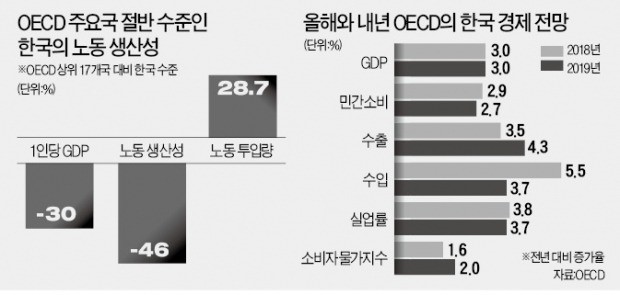 OECD "韓 최저임금 인상 유례 없는 수준… 국제 경쟁력에 타격"