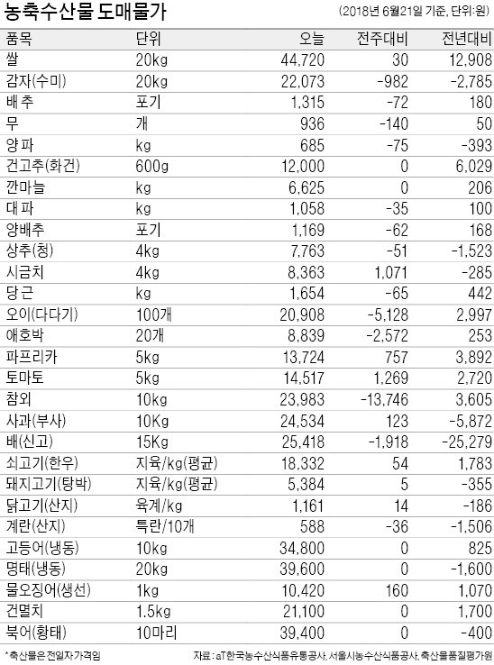 [농수산물 시세] 요동치는 참외 가격… 이달 들어 다시 급등