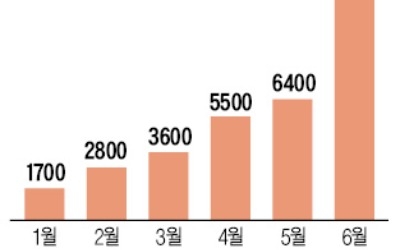 '후발 주자' 신한금투, 헤지펀드 수탁액 1兆 넘었다