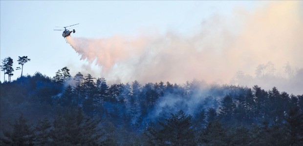 산림청 산림헬기가 지난 2월 발생한 삼척시 노곡면 산불을 진화하고 있다. 산림청 제공