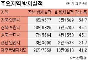 소나무재선충병 과학적 방제 효과 '톡톡'… 2022년까지 피해목 10만그루 이하로 낮춘다