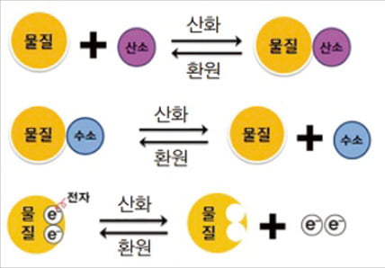 "연소는 산소와 결합하는 산화환원 반응… 생명에 변화를 가져오는 화학작용이죠"