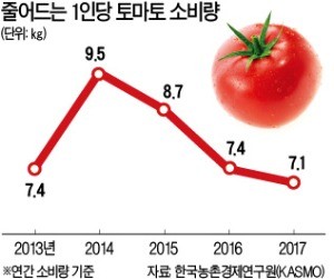 농협·농가 '의기투합'… 국가대표 'K토마토' 키운다