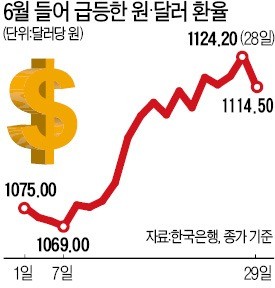 너무 가파른 환율 상승세… 경제 불안심리 부추기나