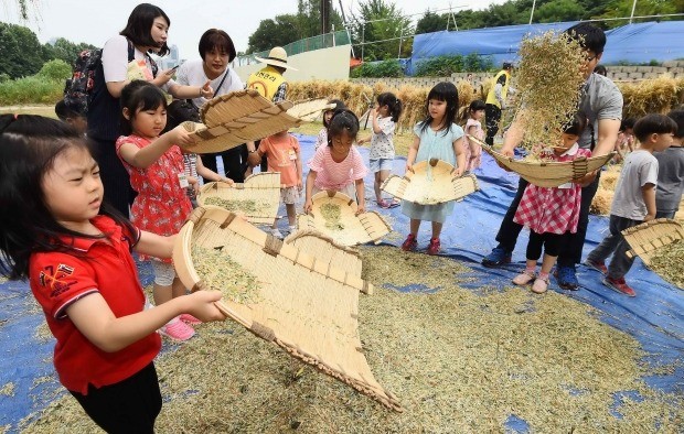 19일 서울 서초구 양재천변 보리밭에서 열린 '보리수확 전통체험 행사'에서 어린이들이 키질하기 체험을 하고 있다. 김범준기자bjk07@hankyung.com