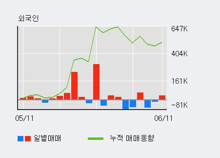 [한경로보뉴스] '용평리조트' 5% 이상 상승, 기관 3일 연속 순매수(2.2만주)