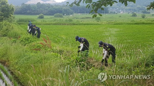 경찰 "강진 여고생 실종 수사 확대… 유사 사건 수사인력 투입"