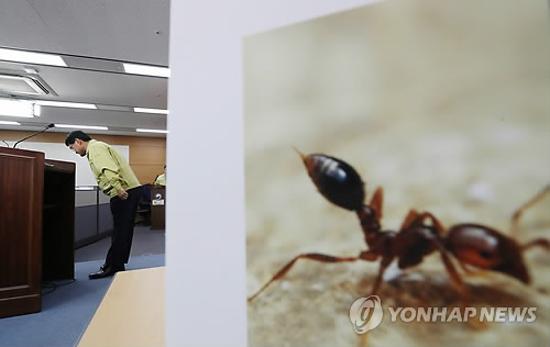 대량 번식 직전까지 간 붉은불개미…일반 화물은 속수무책