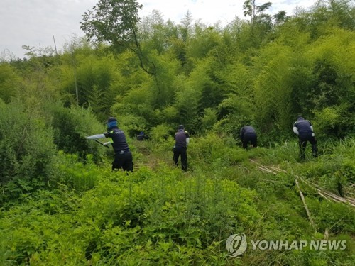 "알바 간다" 실종 강진 여고생 어디에… 온통 의문투성이