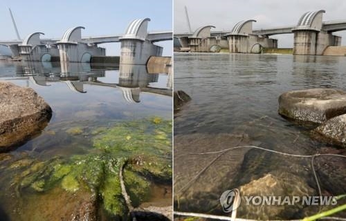 [르포] 4대강 보 개방 1년… 낙동강 녹조 눈에 띄게 줄어