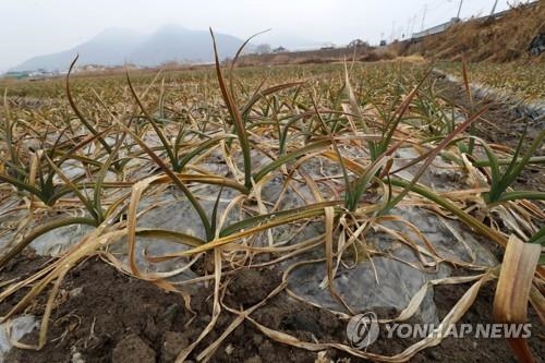 [르포] 4대강 보 개방 1년… 낙동강 녹조 눈에 띄게 줄어