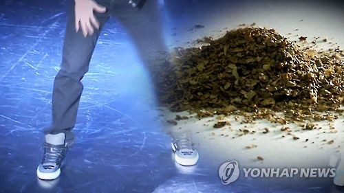 日국민 71명 중 1명은 대마흡입 경험… 대마 확산 '비상'