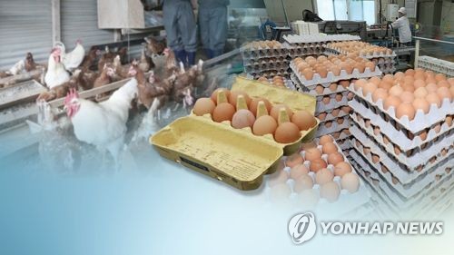 "살충제계란 파문 때 농장도, 정부도 식품안전에 최우선 안둬"