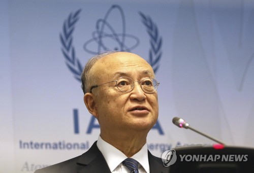IAEA 총장 "정치적 합의시 북핵사찰 수주내 재개 가능"