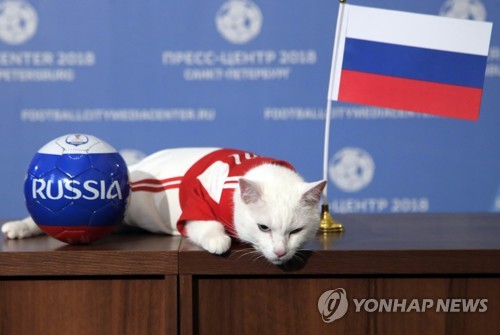 [월드컵] 점쟁이 고양이 아킬레스 '개막전 러시아 승'