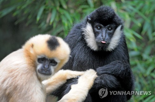 "파리기후협정 같은 지구촌 생태협정 체결하자"