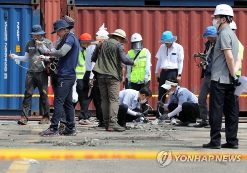 부산항 모든 컨테이너 부두 불개미 조사…서식환경 없앤다