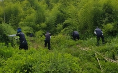 강진 야산서 실종 여고생 추정 시신 발견…경찰 현장감식