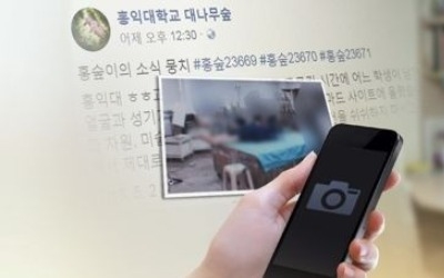 청와대 "위장형 카메라 제조·판매에 등록제 도입 추진 중"