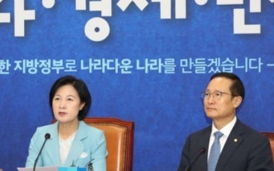 민주 "청와대 비서관 지역 직무대행 인정 여부 내주 논의"