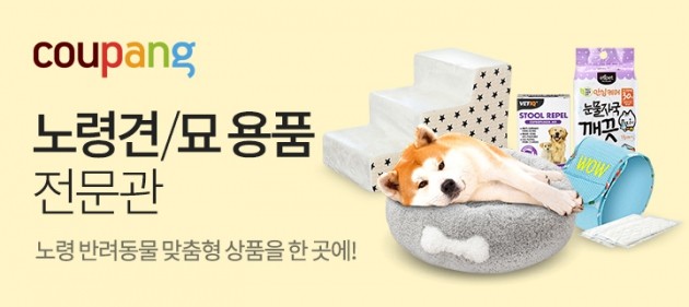 개도 고령화 시대…쿠팡, 노령 반려동물 용품 전문관 열어