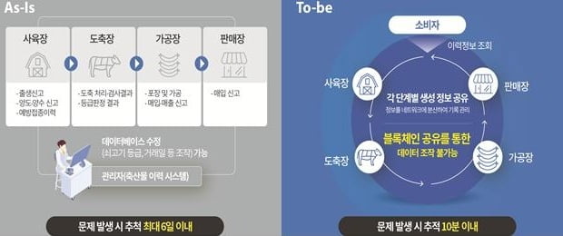 안심하고 먹을 수 있는 쇠고기 이력관리(농식품부 협업). / 출처=과기정통부 제공