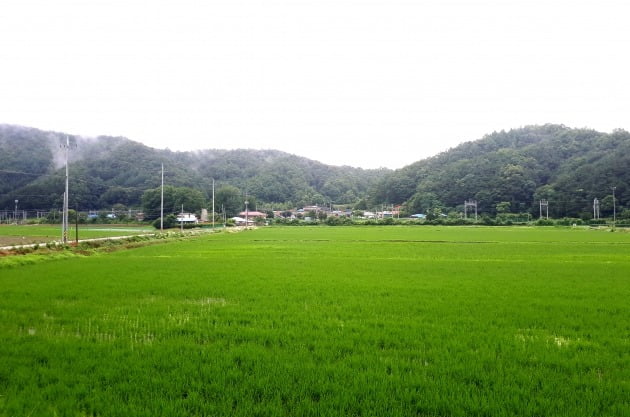 간이역 나무공방 '우드트레인'이 있는 싯계마을. 김경래 대표 제공