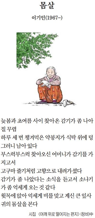 [이 아침의 시] 몸살 - 이기인(1967~)