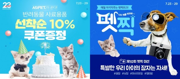 폭염에 반려동물 여름용품 판매 급증…쿨매트·펫정수기 '인기'
