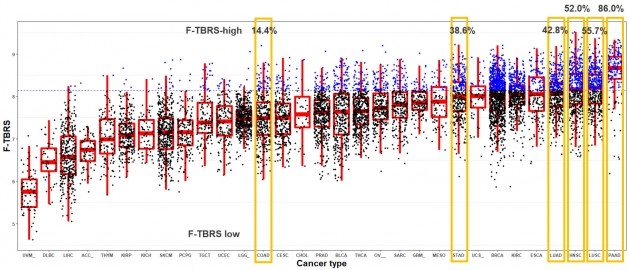 TGF-베타의 바이오마커인 TBRS가 여러 암에서 발현되는 수준을 나타낸 TCGA 검사 결과
