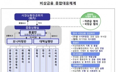 [금감원 업무보고]"外人 자금이탈 가능성…'이상징후' 시 컨틴전시 플랜 가동"