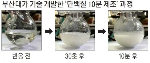 부산대 '10분 만에 단백질 제조' 기술 개발