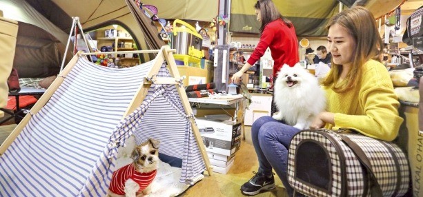 애견 여행용품과 캠핑용품을 파는 경기 김포의 애견 전용 매장. 