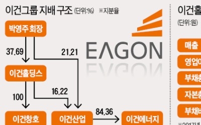  부실 떼내고 알짜 품고… 이건홀딩스의 재무 개선법