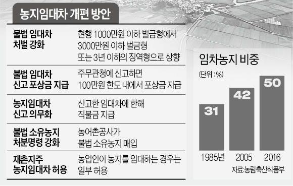 전체 농지 중 임대차 비율 50%인데… '경자유전' 내세워 처벌 강화한다는 정부