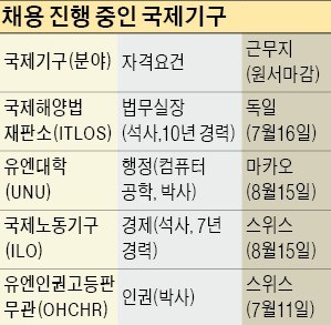 [취업에 강한 신문 한경 JOB] "파견 많은 국제기구… 어디든 적응할 수 있는 배짱 중요"